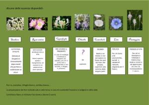 Impariamo a preparare i rimedi floreali- 24 maggio-p2